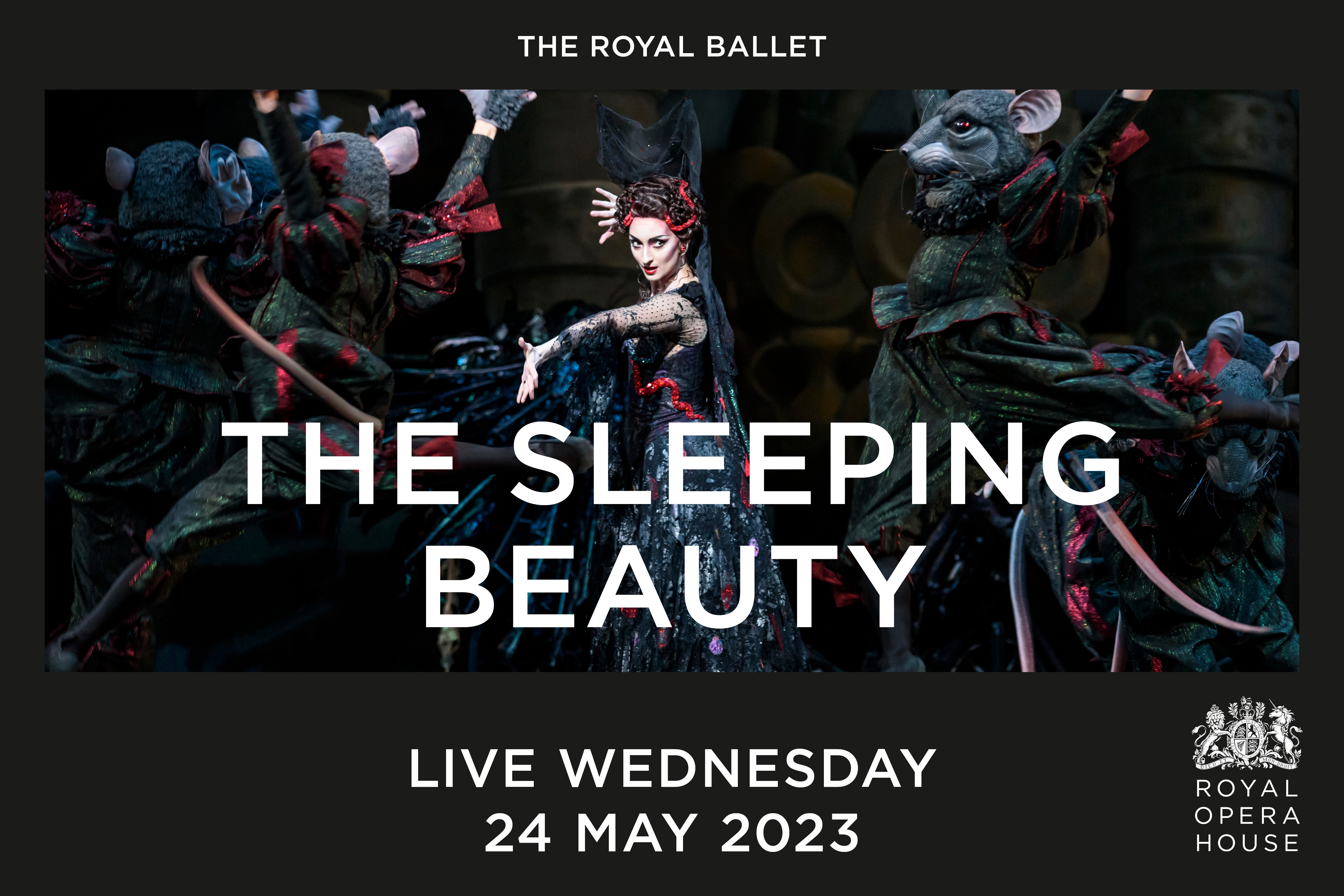 The Sleeping Beauty 2023 NFkino Drammen   The Sleeping Beauty Dated Landscape 